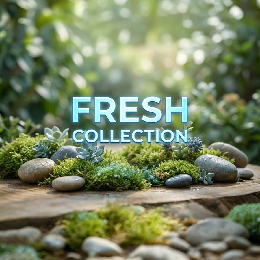 Fresh collection by VR7 Fragrance