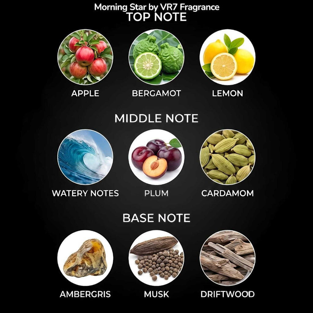 Chart of Morning Star by VR7 Fragrance top, middle, and base notes with corresponding images and labels.